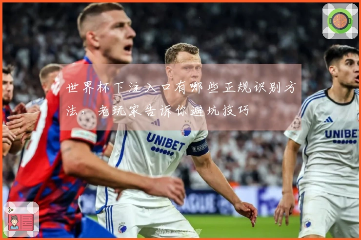 世界杯下注入口有哪些正规识别方法，老玩家告诉你避坑技巧