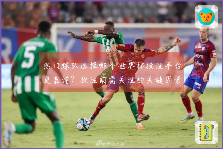 热门球队选择哪个世界杯投注平台更靠谱？投注前需关注的关键因素是什么？