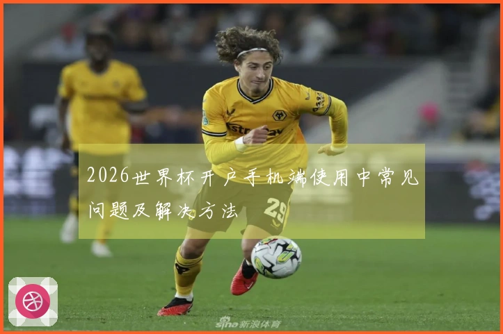 2026世界杯开户手机端使用中常见问题及解决方法