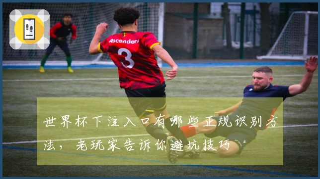 世界杯下注入口有哪些正规识别方法，老玩家告诉你避坑技巧